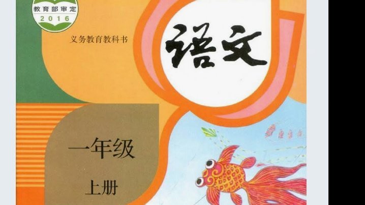 10年龄段的李佑安，不愧是读过书的好孩子，语言组织能力很流畅