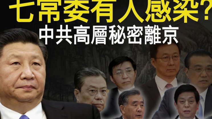 巴西总监：拒绝再止步八强 明日检查韦斯利