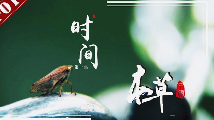 嗯，用户想要一个吸引人的标题，不能太直白话原标题，不能改，要有点文